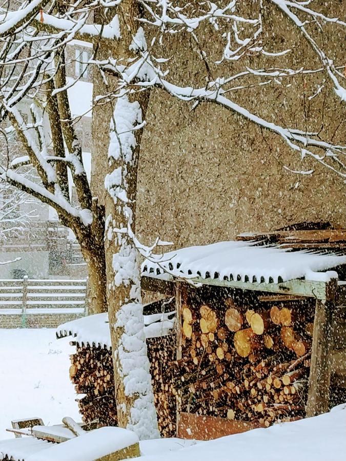 Le Bifore In Valle Predazzo Εξωτερικό φωτογραφία